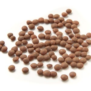 lenticchia-marrone lenticchia-marrone